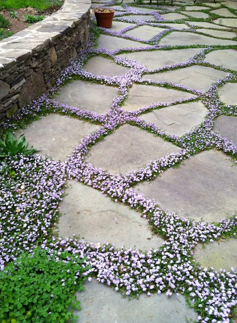 The Beauty of Cottage Gardens