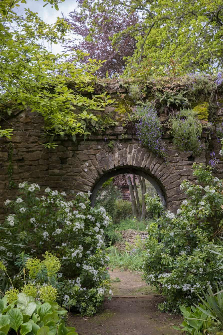 Exploring the Charm of English Gardens