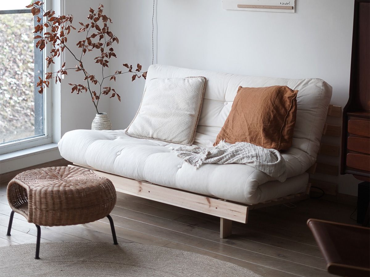 The Versatile Appeal of Futon Sofa Beds