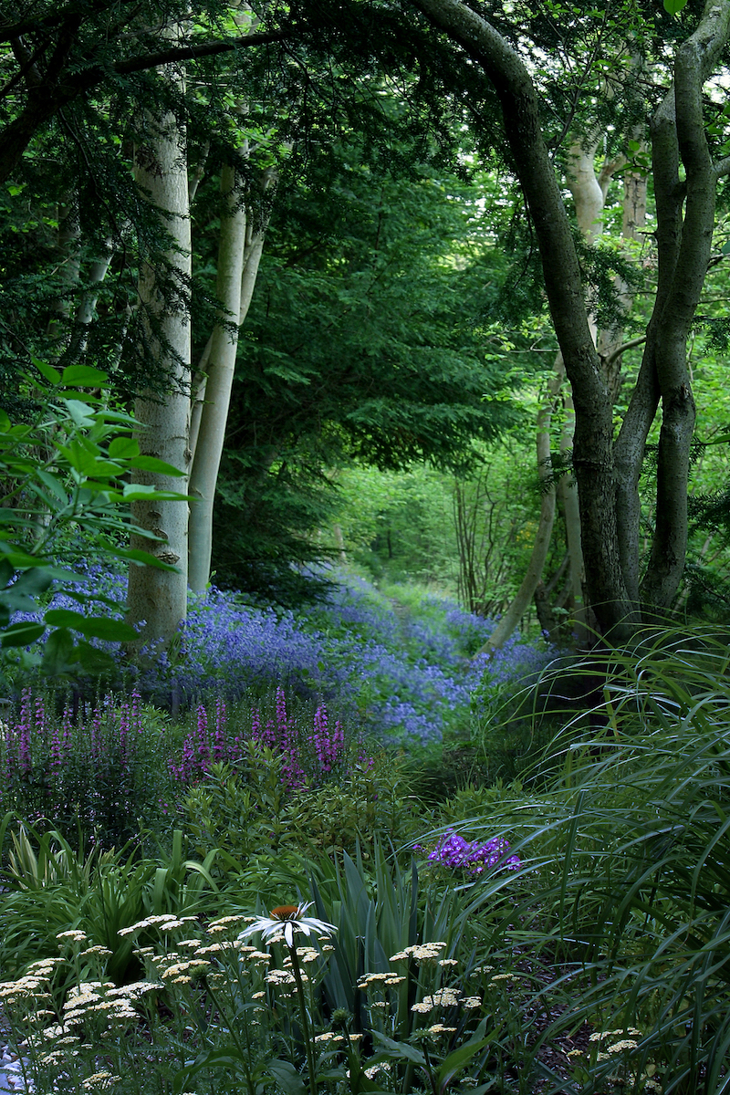 Creative Ideas for Garden Borders