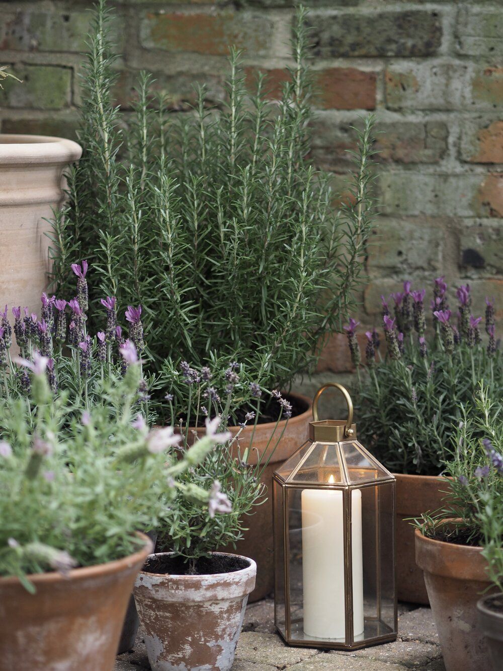 A Guide to Choosing the Right Garden Pots