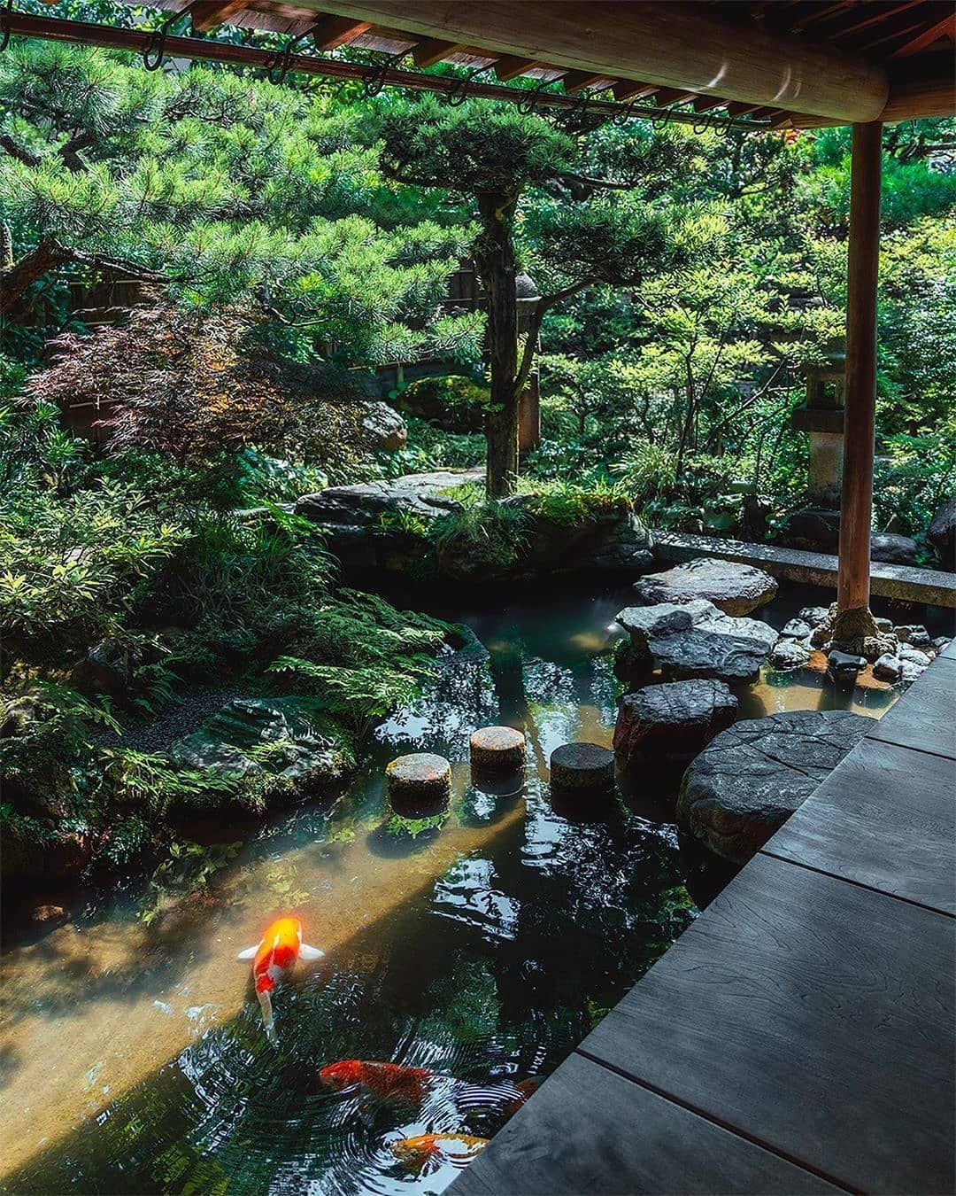 The Tranquil Beauty of Japanese Gardens