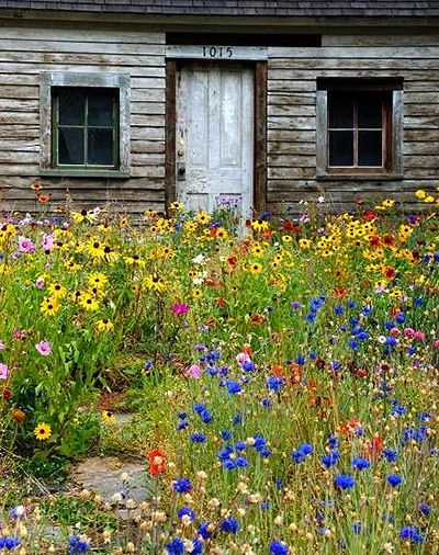The Charm of Cottage Gardens