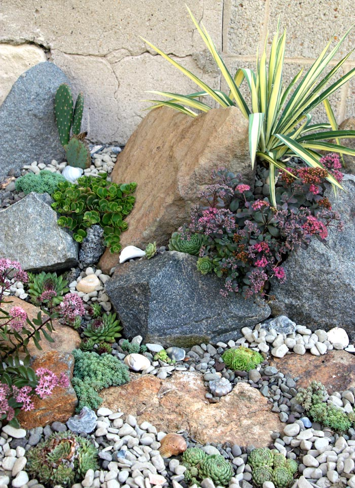 Creating Your Own Rock Garden Oasis