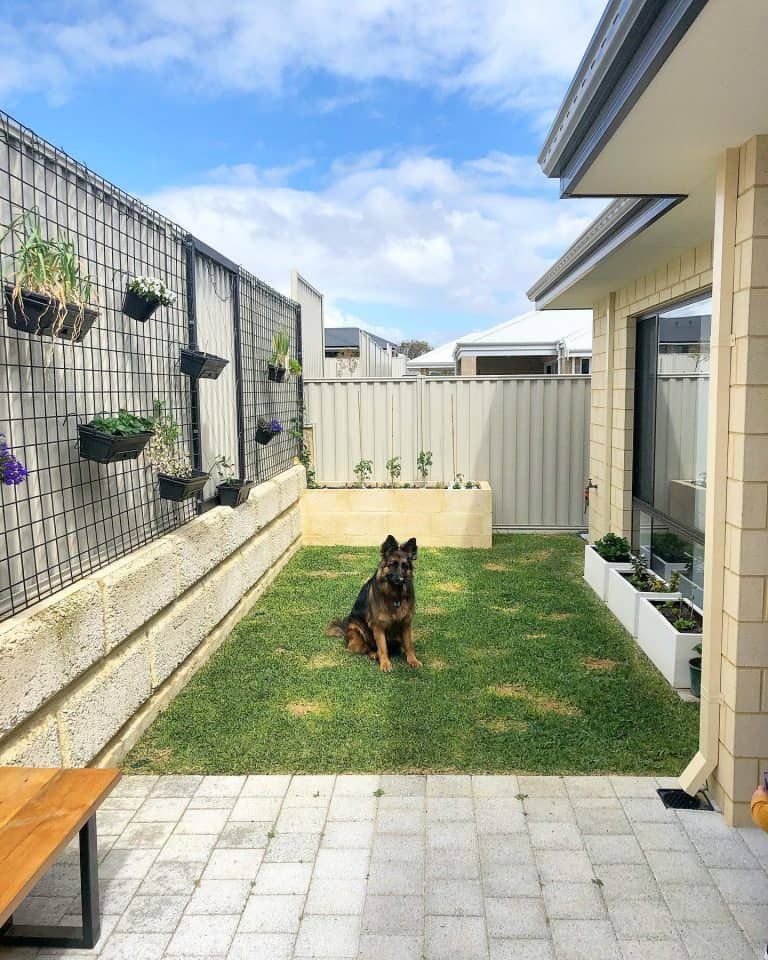 Maximizing Your Small Backyard Space