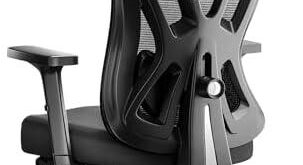 Discover Comfort and Style: Ergonomic Office Chairs