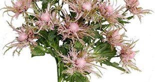 Elegant Artificial Flowers for Every Occasion and Space