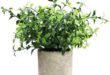 Enhance Your Space with Realistic Artificial Plants & Flowers