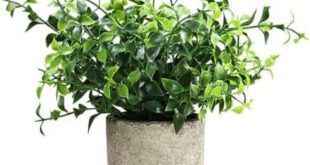 Enhance Your Space with Realistic Artificial Plants & Flowers