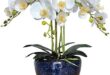 Transform Space with Lifelike Artificial Flowers & Decor