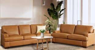 Exploring the Luxurious Comfort of Naomi Home Siggy Sofa