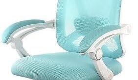 Explore Ergonomic Office Chairs for Ultimate Comfort and Style