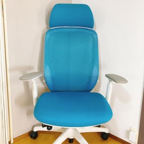 Stylish Ergonomic Office Chairs for Comfort and Support