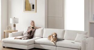 Comfortable and Stylish Sofas for Every Space