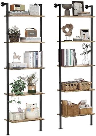 Elevate Our Space: Review of the Rustic 5-Tier Ladder Shelf