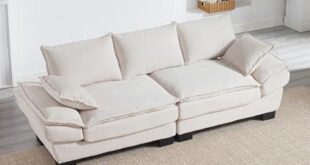 Cozy Comfort or Fashion Fumble? Our Take on the Loveseat Sofa