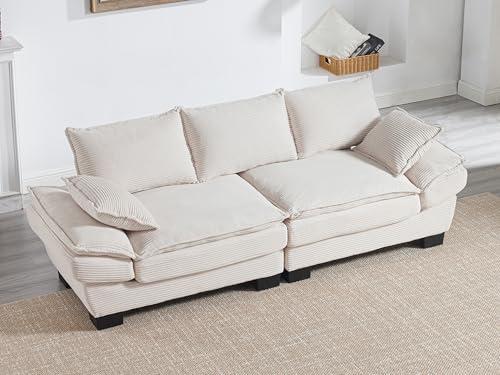 Cozy Comfort or Fashion Fumble? Our Take on the Loveseat Sofa