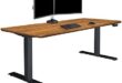 Transforming Our Workspace: The Vari Electric Standing Desk Review