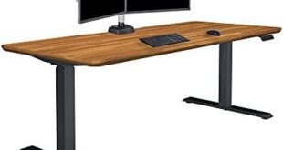 Transforming Our Workspace: The Vari Electric Standing Desk Review