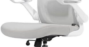 Discovering Comfort: Our Experience with the EUREKA ERGONOMIC Chair