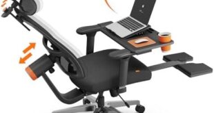 Discovering Comfort: Our Journey with the Newtral Office Chair