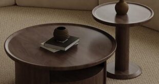 Exploring the Perfect Blend: Our Stylish Coffee Table Set Review