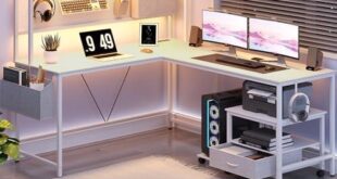 Transforming Our Space: A Review of the Dowinx L-Shaped Desk