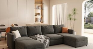 Elegant Comfort: Unique Sofas for Every Living Space