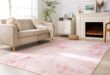 Transforming Spaces: Our Experience with the Carvapet Rug