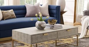 Elevate Our Living Space with the Nicole Miller Coffee Table