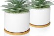 Realistic Artificial Plants to Enhance Your Home Decor