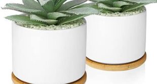 Realistic Artificial Plants to Enhance Your Home Decor