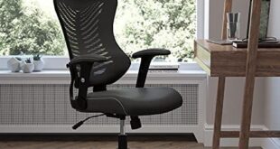 Elevate Our Workspace Comfort with EMMA + OLIVER Chair