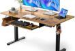 Discovering Comfort: Our Review of the ErGear Electric Desk