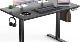 Transforming Our Workspace: A Review of the Adjustable Desk