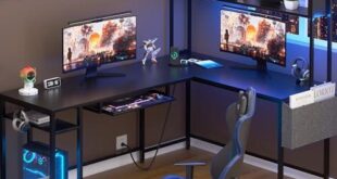 Transforming Our Workspace: A Review of the Shintenchi L Desk