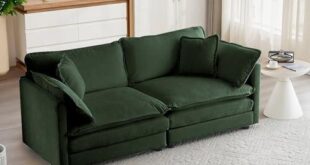 Embracing Comfort: Our Take on the Mikibama Loveseat Sofa