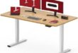 Unlocking Comfort: Our Take on the SANODESK 48″ Electric Desk