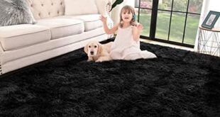 Our Cozy Journey: Exploring the Jelymark Shaggy Rug