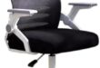 Discover Comfort: Our Experience with the FLTRGO Ergonomic Chair