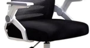 Discover Comfort: Our Experience with the FLTRGO Ergonomic Chair