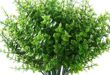 Enhance Your Space with Lifelike Artificial Plants