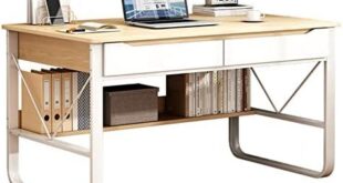 Transforming Our Workspace: A Review of the TAPIVA Desk