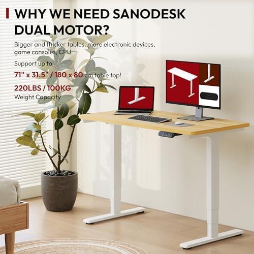 Unlocking Comfort: Our Take on the SANODESK 48