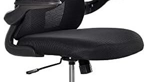 Explore Ergonomic Office Chairs for Ultimate Comfort!