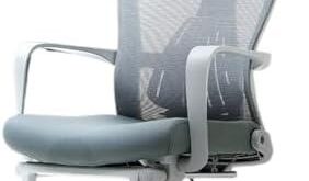 Ergonomic Office Chairs for Comfort and Style at Home