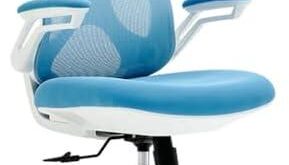 Transform Your Comfort: Discover Ergonomic Office Chairs