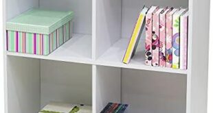 Explore Stylish and Functional Bookshelves for Every Space