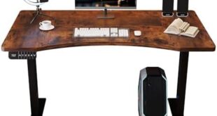 Transforming Our Workspace: A Review of the Dual Motors Desk