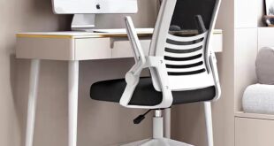 Discovering Comfort: Our Review of the Ergonomic Desk Chair